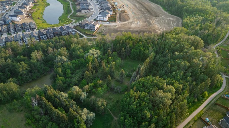 Kinglet by Big Lake aerial 2025