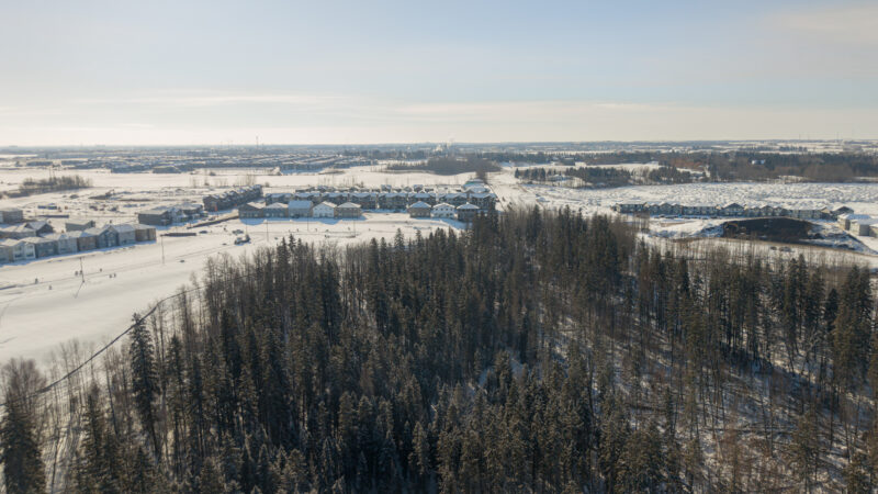 Aerial view of winter forest edge next to the community of Kinglet by Big Lake, Edmonton, Alberta.