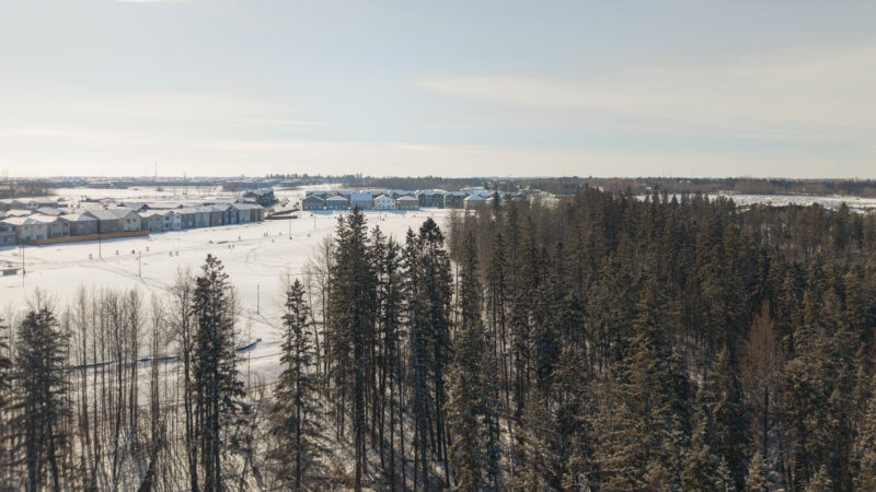 Aerial view of snow covered open space beside dense trees and homes in Kinglet by Big Lake, Edmonton, Alberta.