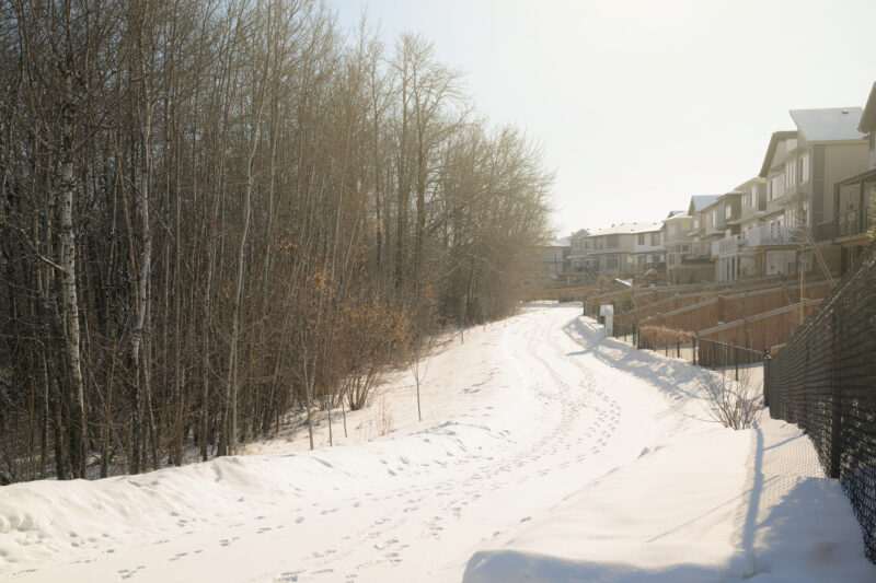 Snow covered corridor between homes and forest edge in Kinglet by Big Lake, Edmonton, Alberta.